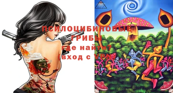прущие грибы Осташков
