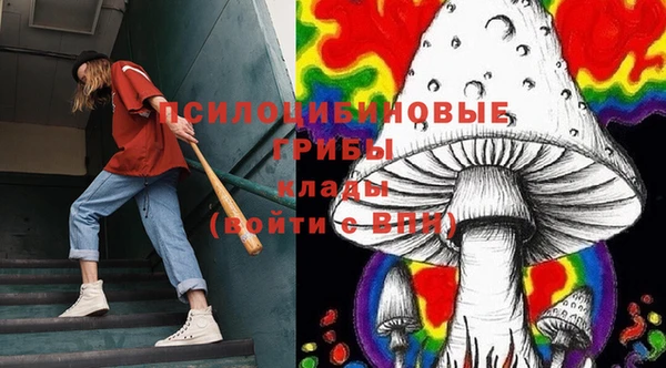 тгк Баксан