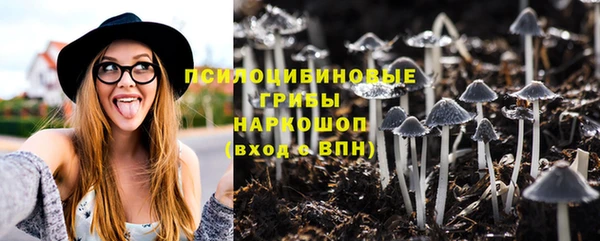 хмурый Балабаново