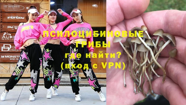 хмурый Балабаново
