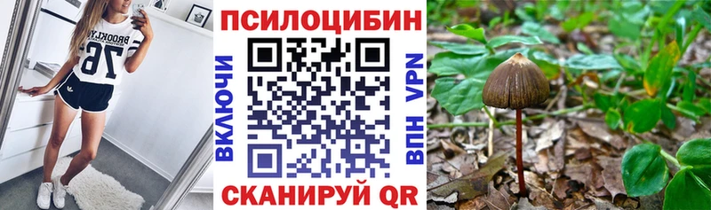 Галлюциногенные грибы Psilocybine cubensis  KRAKEN ССЫЛКА  Кушва 
